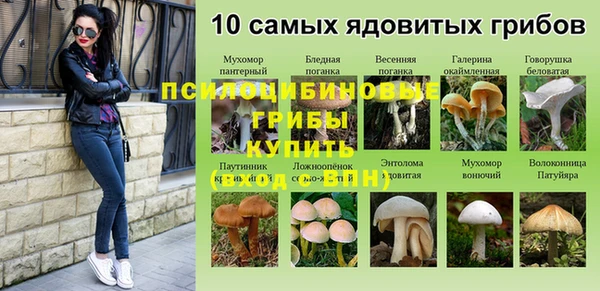 MDMA Premium VHQ Яровое