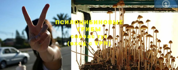 дурь Покров