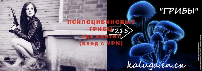 Псилоцибиновые грибы GOLDEN TEACHER  как найти закладки  Вольск 