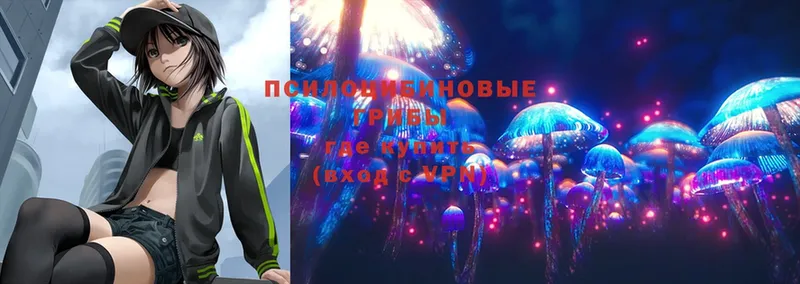 Галлюциногенные грибы MAGIC MUSHROOMS Вольск