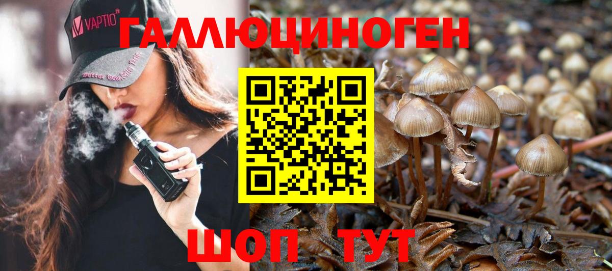 где найти   Псилоцибиновые грибы MAGIC MUSHROOMS  Вольск  Галлюциногенные грибы MAGIC MUSHROOMS 