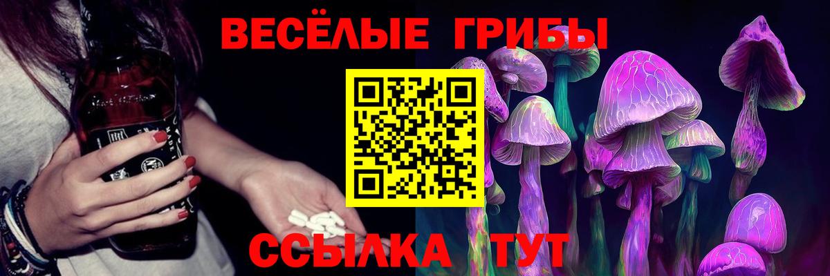 Галлюциногенные грибы Psilocybine cubensis Вольск