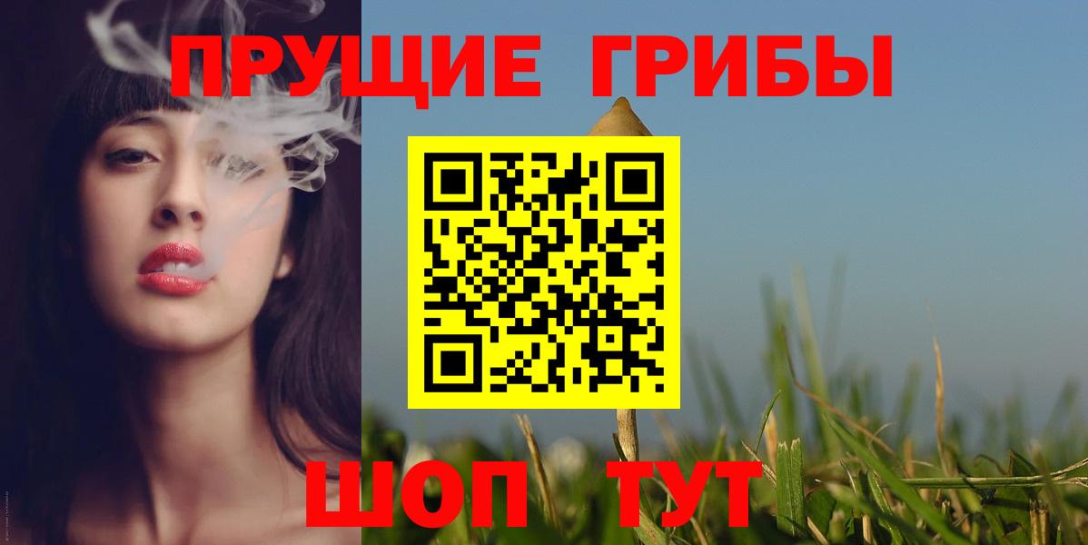 Вольск  Галлюциногенные грибы прущие грибы  Вход с VPN 