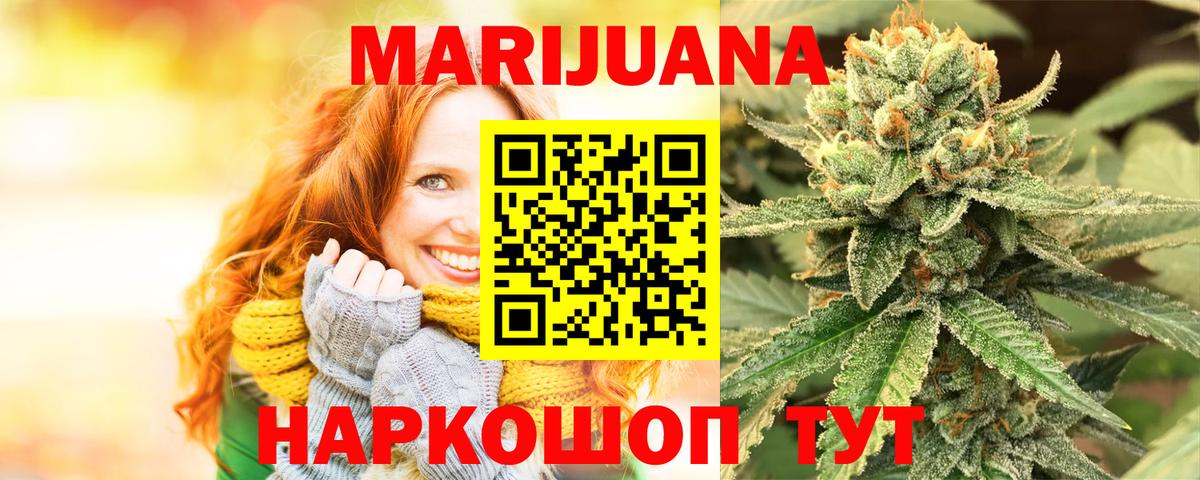 Конопля гибрид Вольск